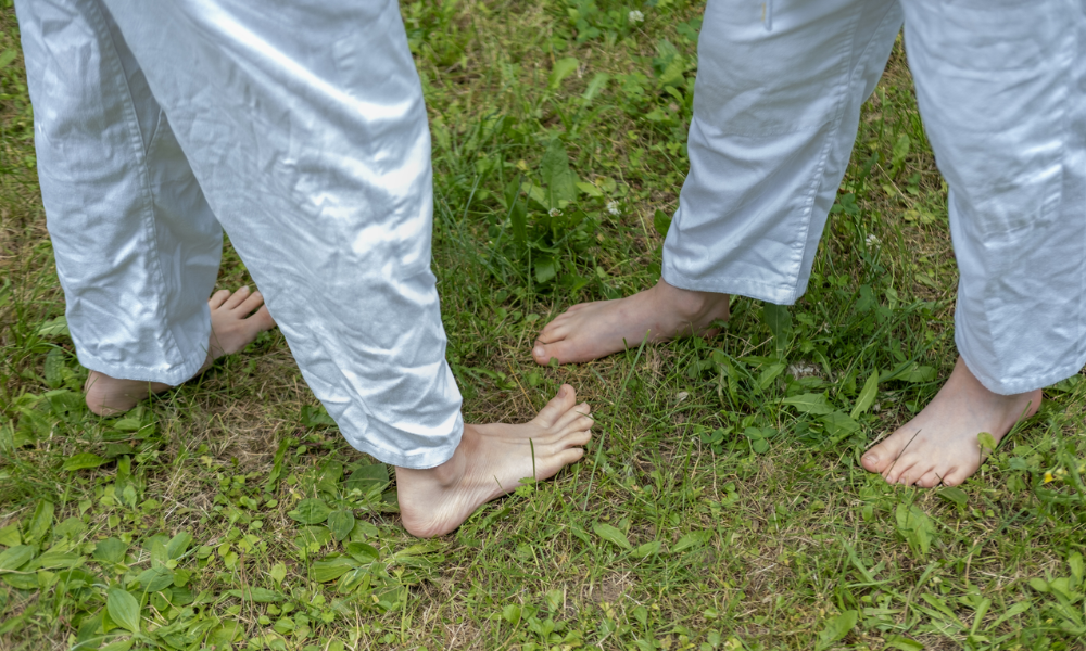 earthing harmony